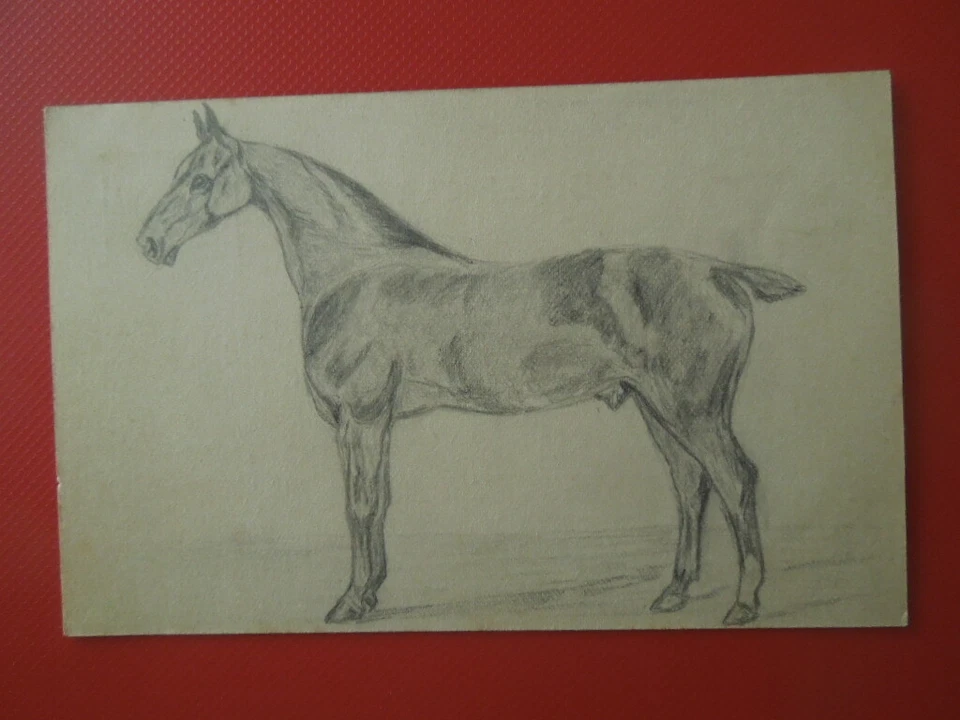 G3261 НИДЕРЛАНДЫ 1915 СТАЦИОНАРНЫЙ С ОРИГИНАЛЬНЫМ КАРАНДАШОМ РИСУНОК ЛОШАДИ СМ. DES - Изображение 1 из 3