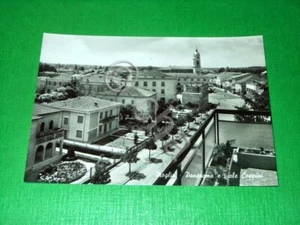 Cartolina Moglia - Panorama e viale Coppini 1960 ca. - Picture 1 of 1