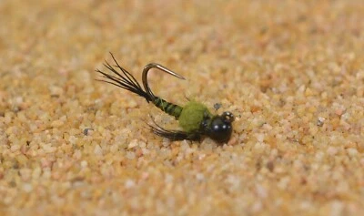 REGION FISHING 6 Flies - Tungsten Olive Two Bit Hooker Jig Head Fly - Euro nymph - Hanak Hook
