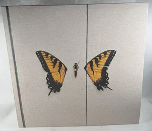 Brand New Eyes by Paramore - Used 12" Vinyl/LP/Record - Excellent Condition - Foto 1 di 6