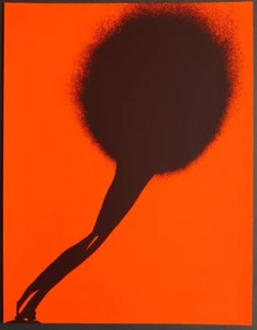 Otto Piene " JUPITER & JO " Serigraphie - Siebdruck 1977 - Bild 1 von 1