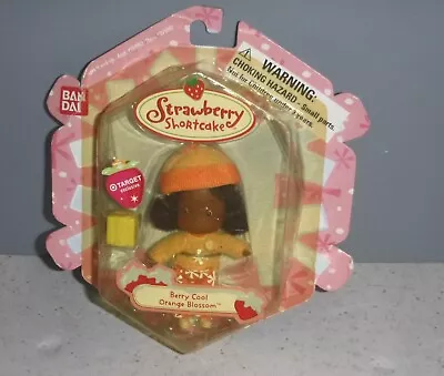 Muñeca Ban Dai Target Ex 2004 Strawberry Shortcake BERRY COOL ORANGE BLOSSOM *EN PAQUETE Foto 1 de 4