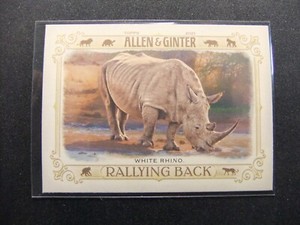 MULTIPLE YEARS OF TOPPS ALLEN AND GINTER BASE AND INSERT CARDS *PICK FROM LIST*