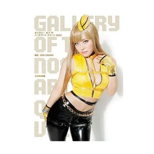 Gallery of The Nose Art Queen Vol.5 (Book) Popular series of scale aviation JP - Picture 1 of 1