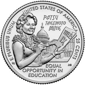 Cuarto de visón Patsy Takemoto 2024 sin circular de rollo como nuevo de Estados Unidos. ENVÍO RÁPIDO GRATIS - Imagen 1 de 2