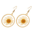  Sunflower Earrings Natural Pressed Round Circle Dried Flowers