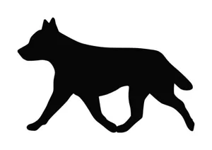 Australian Cattle Dog Strut Aufkleber #1 4,5""x5"" Farbe, Stil wählen - Bild 1 von 5