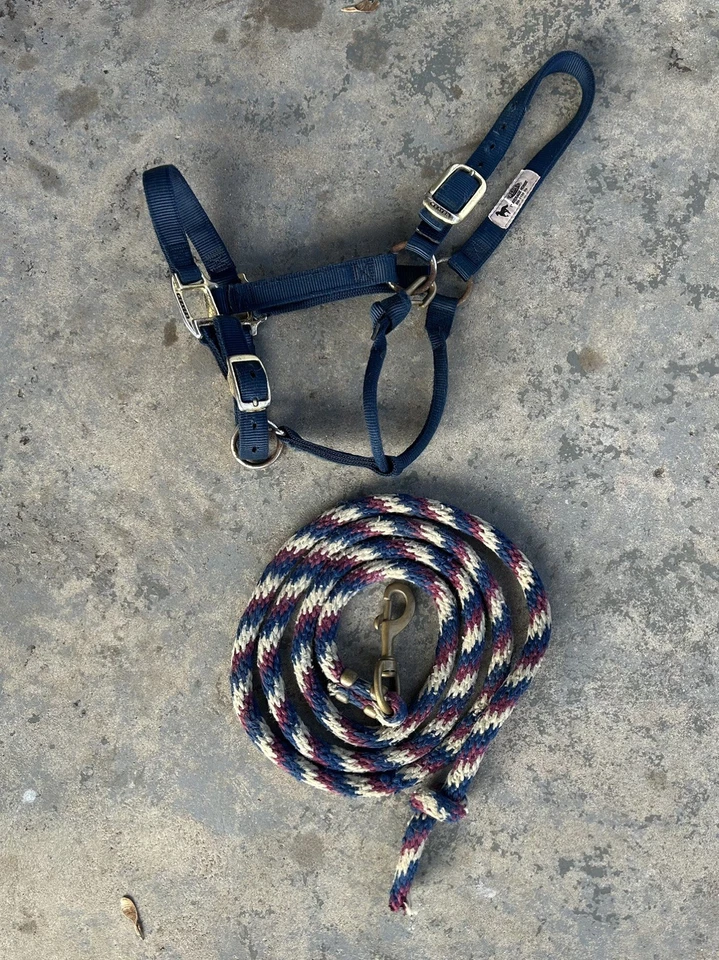 Halter de caballo de nailon usado con cuerda de plomo; azul marino, borgoña; talla caballo promedio Foto 1 de 1