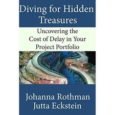 Diving for Hidden Treasures: Uncovering the Cost of Del - Paperback NEW Rothman,