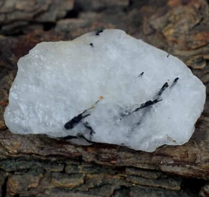 Black Rutile Quartz 63.25 Ct Natural Raw Gemstone Healing Rough Mineral Specimen - Picture 1 of 9