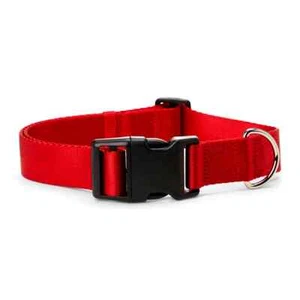 YOULY The Classic Red Webbed Nylon Dog Collar, Small - Picture 1 of 6