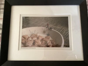 Franciscan Starburst SCUBA Framed Photography Art - Challenging Conditions - Picture 1 of 5