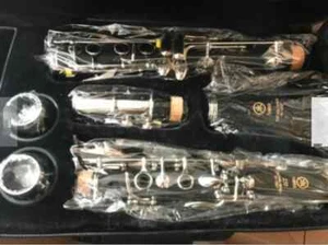 250 clarinet with Beautiful Box - Picture 1 of 6