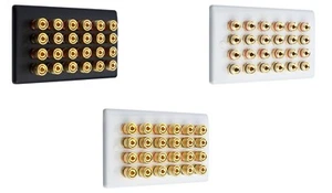 Audio Speaker AV 12.0 Wall Face Plate 24 Terminal Binding Posts for Banana Plugs - Picture 1 of 18