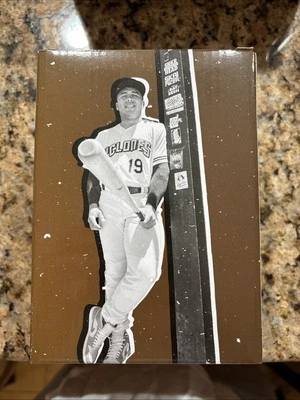 2023 EL TROLL GOLDEN BOBBLEHEAD FRANCISCO ALVAREZ BROOKLYN CYCLONES NY METS SGA Foto 1 de 2