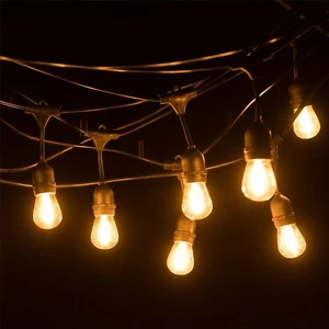 50FT Heavy Duty LED Outdoor Festoon String Lights Mains Powered Garden Lighting - Picture 1 of 20