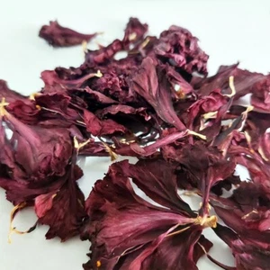 100% Organic Dried Hibiscus Powder for Natural Herbal Tea 20g From Sri Lanka - Picture 1 of 3