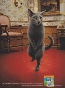 2009 Fresh Step Kitty Litter - Gray Cat Potty Dance Holding It - Print Ad Photo - Picture 1 of 1