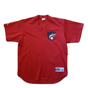 Vintage 90s Majestic Unknown Team Baseball Pullover Jersey Sz XL Men’s - Picture 1 of 6