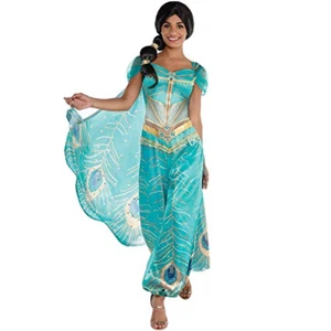Party City Princess Jasmine Whole New World Costume For Women, Medium Peacock Ju - Picture 1 of 5