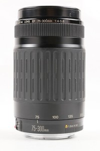 Canon EF 75-300mm f/4-5.6 Telephoto Zoom Lens