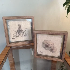 Two 7”x7” Fabric Art Coastal Sea Life sand Dollar/octopus Signed Framed Pictures - Picture 1 of 7