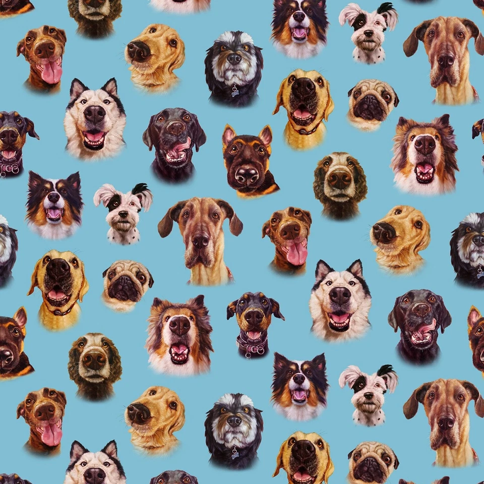 Elizabeth's Studio Follow Your Nose by Lucia Heffeman 41003 Blue Dog FacesCotton - Image 1 of 1