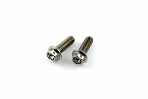 BMW R1200 RT 05-09 Titanium Race Drilled Hex Rear Caliper Mounting Bolts - Picture 1 of 1