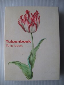 Tulpenboek Tulip Book contained greetings cards - Frans Hals Museum - box only