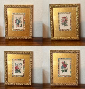 Set of 4 Antique Gold Framed JM KRONHEIM Botanical Hand Colored Engraving Prints - Picture 1 of 10