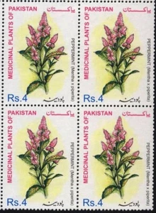 Pakistan: Medicinal Plants series, 2001, Block of 4,MNH - Picture 1 of 1