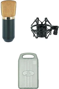 Large Diaphragm Golden Studio Mic for Vocal True Voice Flat Frequency Response - Picture 1 of 4