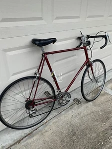 KHS GRAN SPORT MEN BIKE/12 Speed - Picture 1 of 22