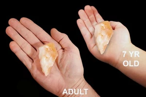 CITRINE Crystal Points 2 1/2" 2-4 Oz Rough Rocks Minerals Specimen Reiki Healing - Picture 1 of 3