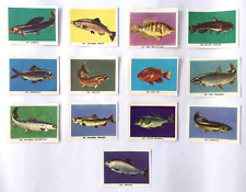 Vintage 1950's Argentina Native Fishes Card Set Rare in Spanish Very Nice (13x)