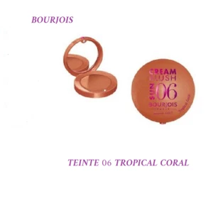 BOURJOIS CREAM BLUSH FARD A JOUES CREME POUDRE 006 TROPICAL CORAL 2,5gr - Bild 1 von 1