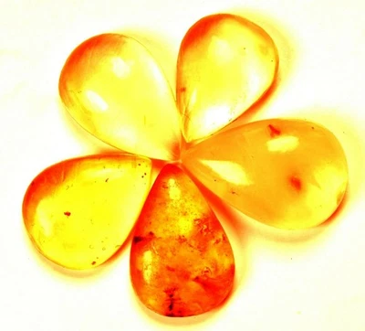 33.25 Cts. Natural Genuine Old Baltic Amber Untreated Certified Gemstone - Image 1 of 4
