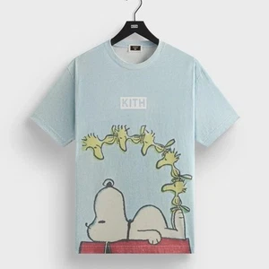 š„SOLDOUTš„KITH for Peanuts Woodstock Dog House Comic Vintage Tee|2025|M|Glisten - Picture 1 of 4