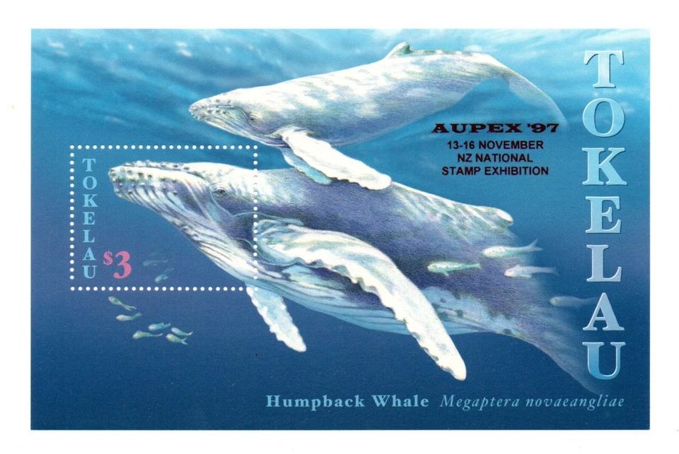 Hoja de sellos Tokelau 1997 ballenas/ballenas/pez/aupex (Michel Bl. 10 I) MNH Foto 1 de 1