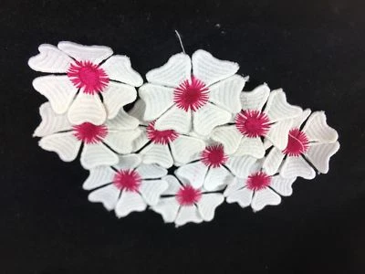 CraftbuddyUS 10 x Motivos de Tela de Encaje con Centro de Flores Corazón Rosa 5 cm Foto 1 de 4
