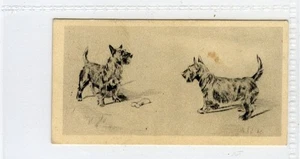 (Gd5658) Lambert & Butler, ultramar, grabados de perros, pequeños #23, 1928 en muy buen estado - Imagen 1 de 4