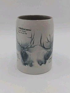 Weltrekord Elch Becher - Bild 1 von 6