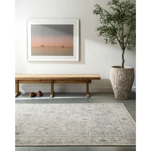 x Becki Owens Davina Damask Area Rug , 7'10" x 10', Light Grey - Picture 1 of 8