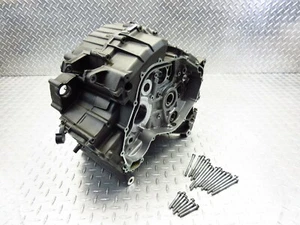 2009 08 09 Buell 1125 1125CR OEM Crank Case Crankcase Engine Motor Block Bolts - Bild 1 von 12