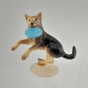 Pastore tedesco Hagen Renaker che cattura frisbee su base - Foto 1 di 18