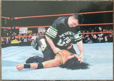 Comic Images WWF SmackDown! Trading Card - #48 X-Pac (X-Punk)