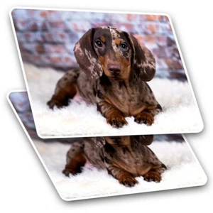 2 x rechteckige Aufkleber 7,5 cm - brauner Dackel Welpe Hund Haustier cooles Geschenk #21436 - Bild 1 von 9