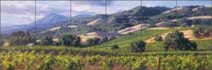 Vineyard Tile Backsplash Carey Wine Country Art Ceramic Mural GW-JC003 - Picture 1 of 5