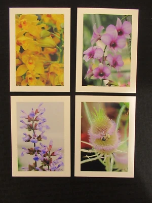 Набор из 4 домашних поздравительных открыток с цветами крупным планом с тиснением желтая фиолетовая пчела - Изображение 1 из 4