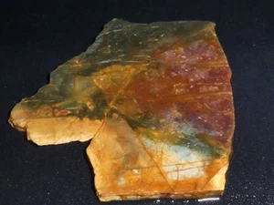 Cherry Creek Jasper 4 1/8"  x 3 7/8  " -rough for cabbing-display, science - Imagen 1 de 3